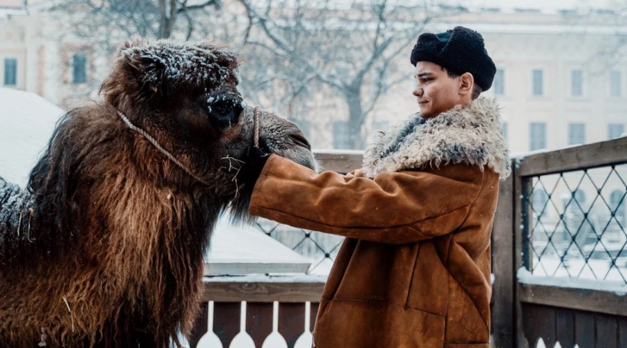 «Красавица»: блокадный Ленинград глазами бегемота «Красавица»: блокадный Ленинград глазами бегемота